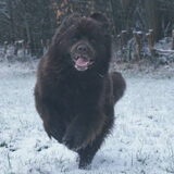 Foto van Jeanine :)