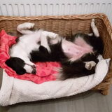 Zzzz...