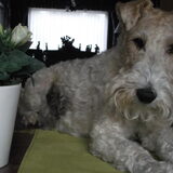 Foto van Gerda - Roland .. Genia , R.I.P Xana & Riski