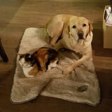 Foto van laura   Diva&Nova