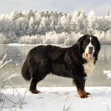 Foto van Anna