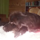 Foto van Jeanine :)