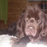 Foto van Jeanine :)