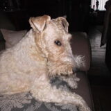Foto van Gerda - Roland .. Genia , R.I.P Xana & Riski