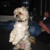 Foto van Shanna