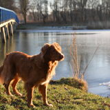 Foto van Luan en Lenne