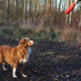 Foto van Luan en Lenne