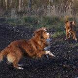 Foto van Luan en Lenne