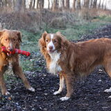 Foto van Luan en Lenne