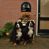 Foto van Anna
