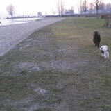 Foto van sylvia