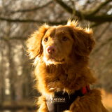 Foto van judith