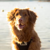 Foto van judith
