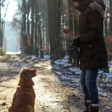 Foto van judith