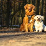 Foto van judith