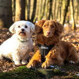 Foto van judith
