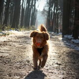 Foto van judith