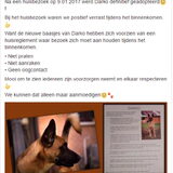 Foto van Tinaa.