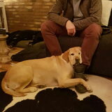 Foto van laura   Diva&Nova