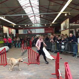 Foto van laura   Diva&Nova