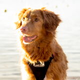 Foto van judith