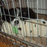 Foto van Math. & Daisy