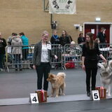 Foto van Marijke - Aila, Dinja & Evi