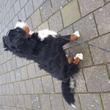 Foto van Tanja