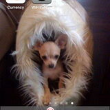 Hoe ziet jouw Background eruit ;-0