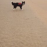 Foto van Lucia, Lizzy & Ziva