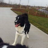 Foto van Lise met Ruby, Naïn & Qalvin