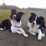 Foto van Lise met Ruby, Naïn & Qalvin