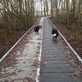 Foto van Lise met Ruby, Naïn & Qalvin