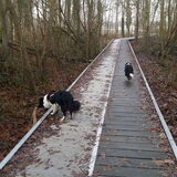 Foto van Lise met Ruby, Naïn & Qalvin