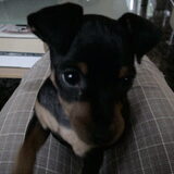 30 juli 2009, op schoot.