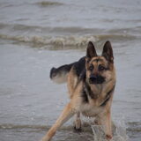 Foto van Vicky & Toby