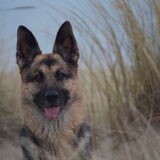 Foto van Vicky & Toby