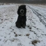 Foto van sylvia