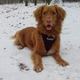 Foto van judith