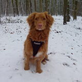 Foto van judith