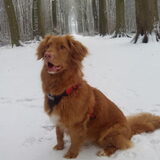 Foto van judith