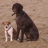 hyke & fons aan zee