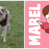 Foto van Marjolein & Mabel