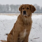 Foto van Suus
