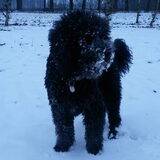 Foto van sylvia