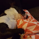 Foto van Hannah & Bink† en Beertje