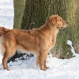 Foto van Suus