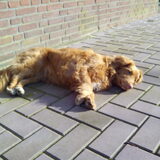 Foto van judith