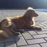 Foto van judith