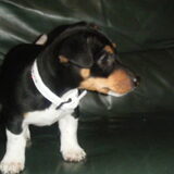 Baby Yona :)